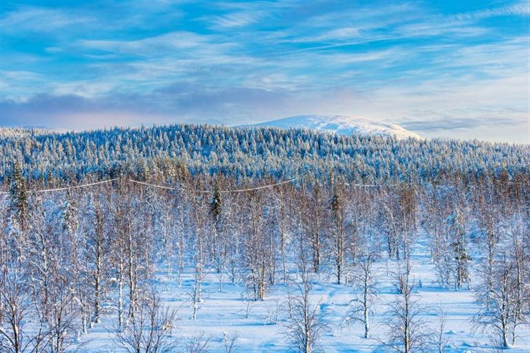 Urlaub in Lappland @RicoK69/istock
